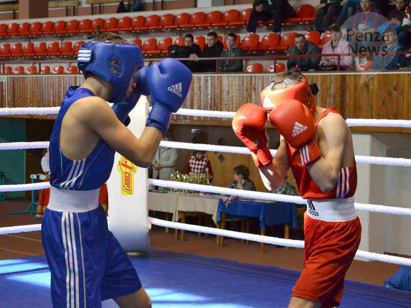 Пензенские боксеры поборются за право выступить на чемпионате и первенстве России