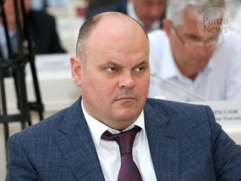 Депутат заксобрания Пензенской области Дмитриенко стал сенатором от региона