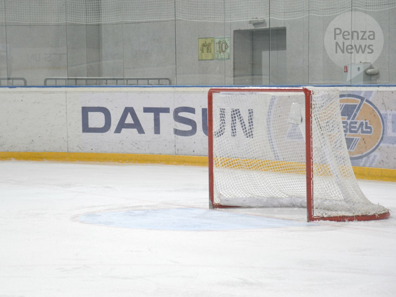 В Пензе планируют создать студенческую хоккейную команду