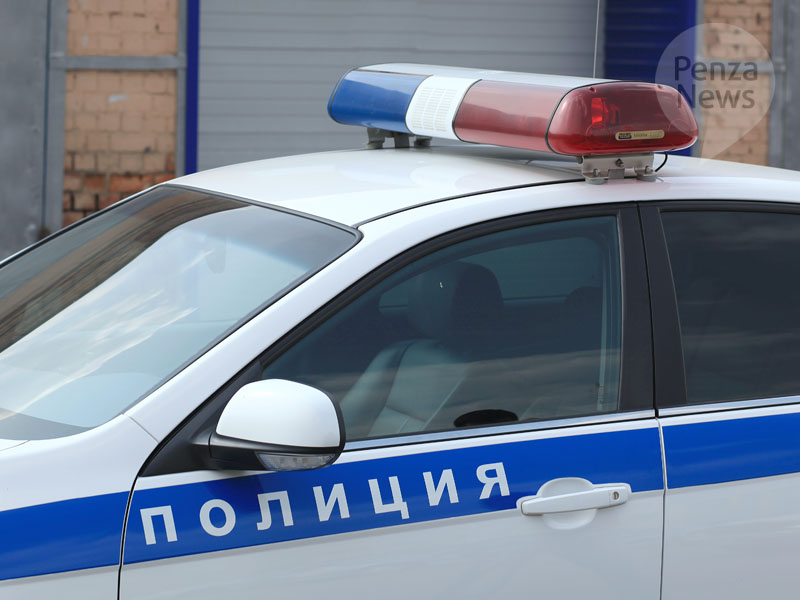 Полиция раскрыла кражу пистолета из дома в пензенском селе