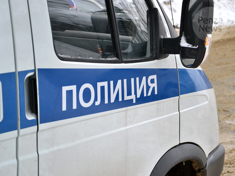 В Сосновоборском районе мужчина признался в краже бензотриммера из сельской администрации