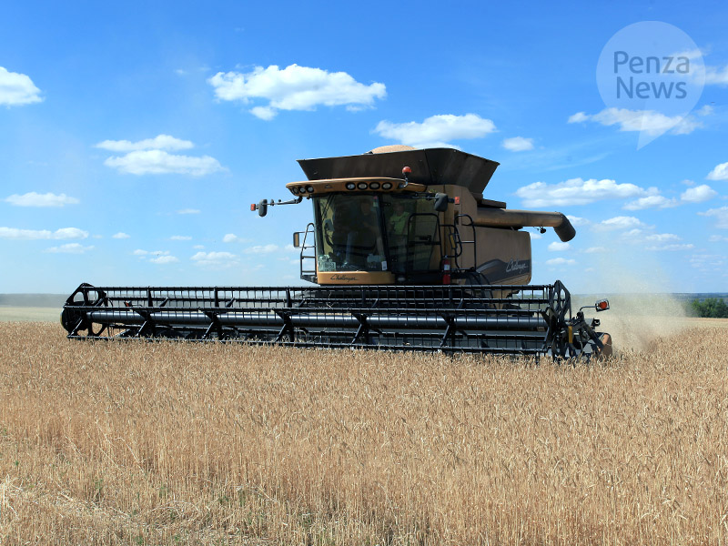 В Пензенской области намолочено около 33 тыс. тонн зерна