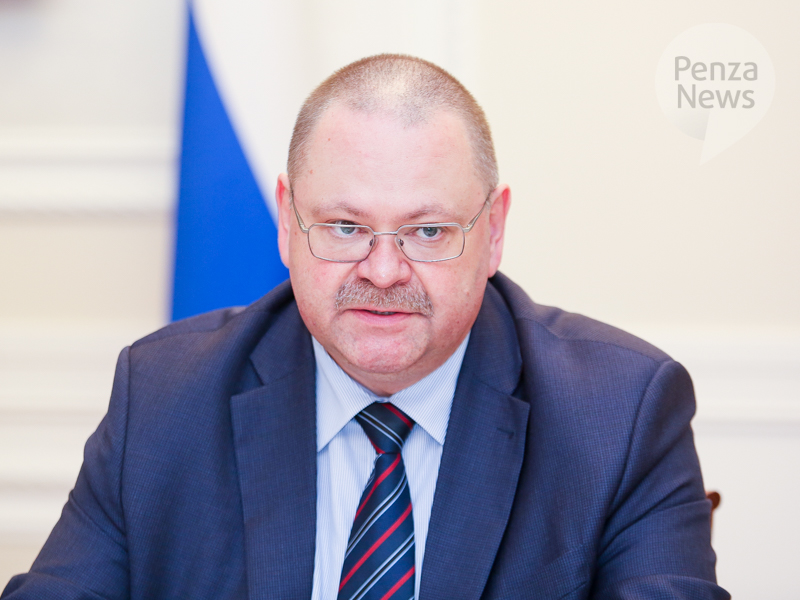 Мельниченко призвал увеличить объемы переработки древесины в Пензенской области