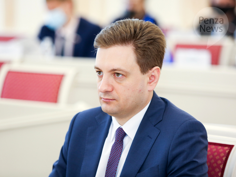 Камнев поднял вопрос о законности назначения предложенного Белозерцевым кандидата на пост бизнес-омбудсмена