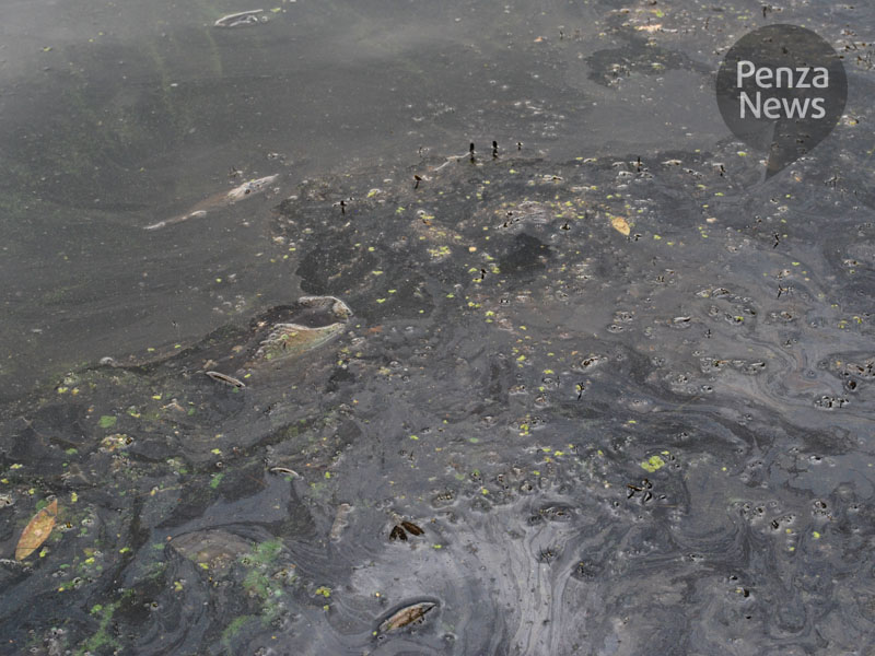 В Пензенской области произошел разлив нефтепродуктов на площади 400 кв. метров
