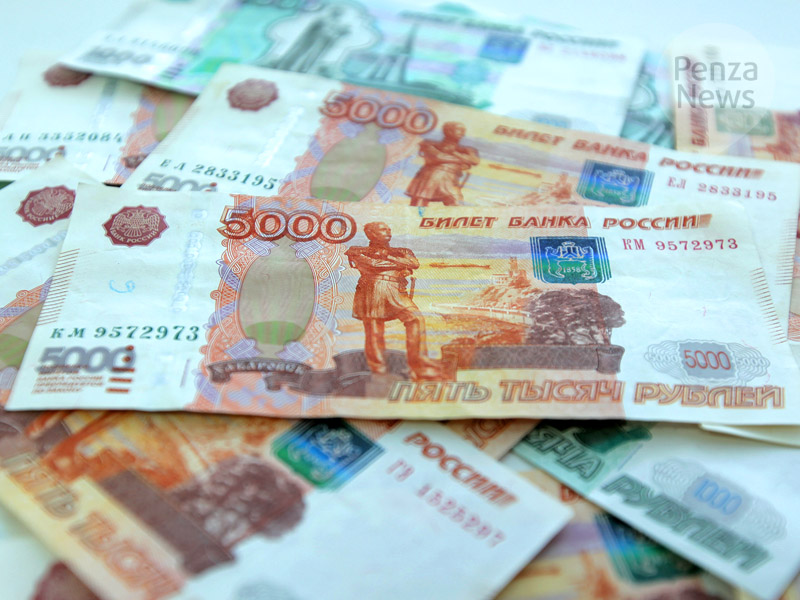 Жительница Башмаково подозревается в краже денег у соседки