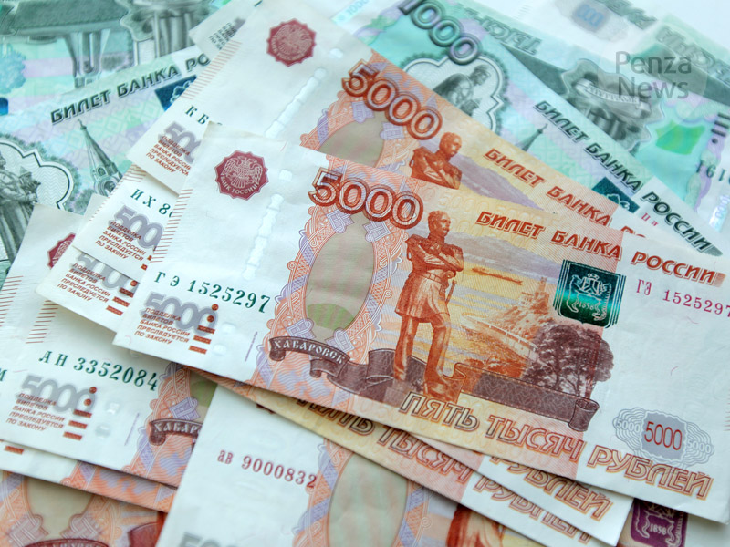 В Пензе ищут женщину, укравшую у пенсионерки 255 тыс. рублей под предлогом обмена купюр