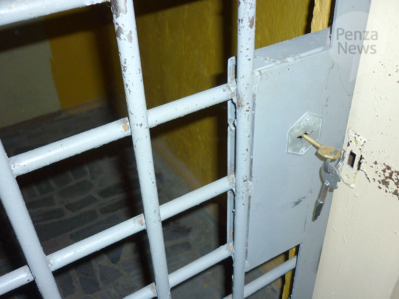 В Пензе заключена под стражу женщина, ударившая гражданского мужа ножом
