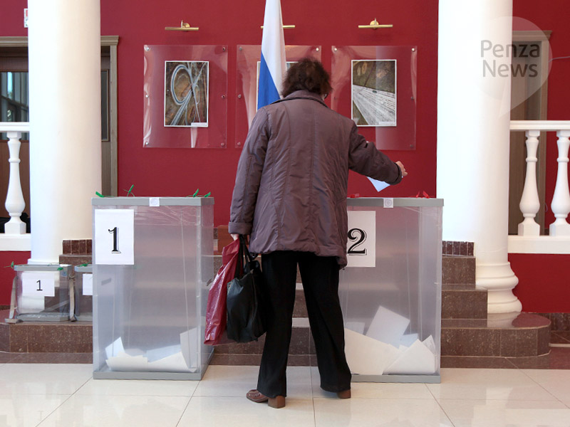 В Пензенской области явка на выборах президента РФ по итогам двух дней голосования превысила 66%