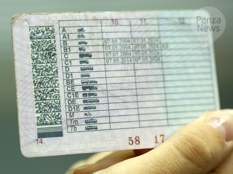 Поддельное водительское удостоверение изъято в Башмаковском районе