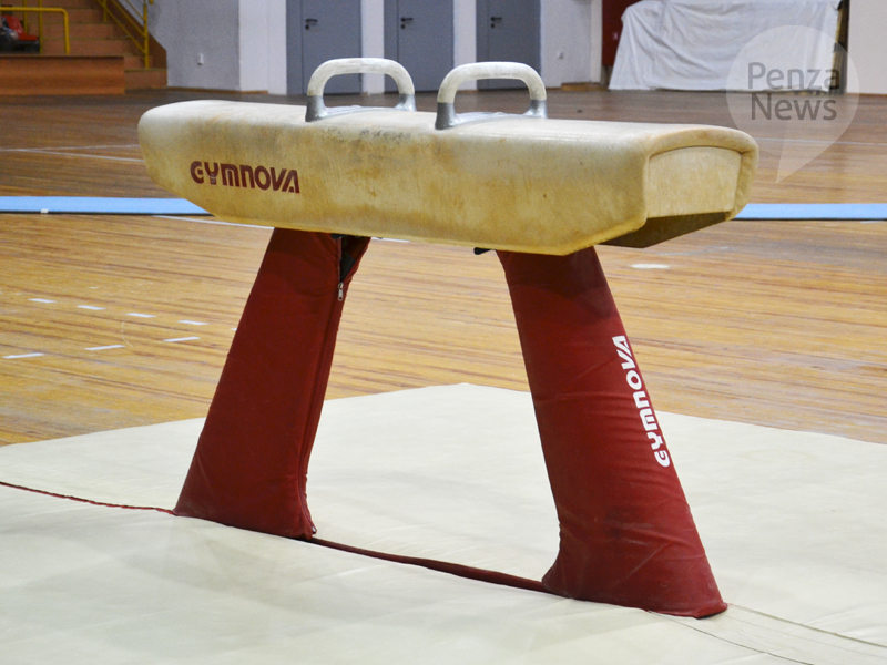 Чемпионат ПФО по спортивной гимнастике пройдет в Пензе 4–6 февраля
