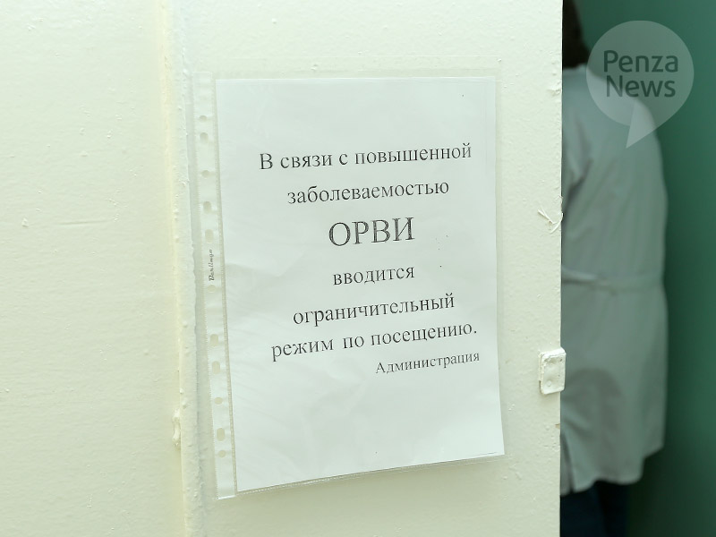 Заболеваемость ОРВИ в Пензенской области остается ниже эпидпорога