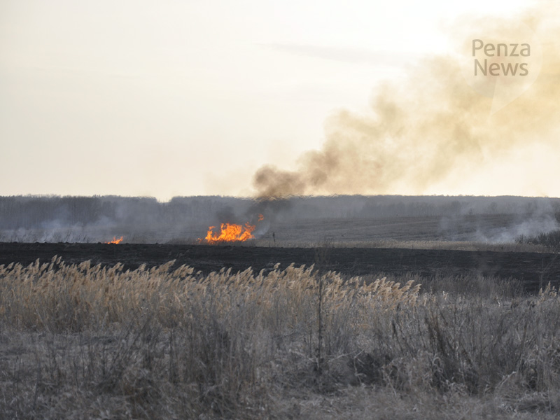 В Пензенской области с 1 по 10 мая произошло 73 природных пожара