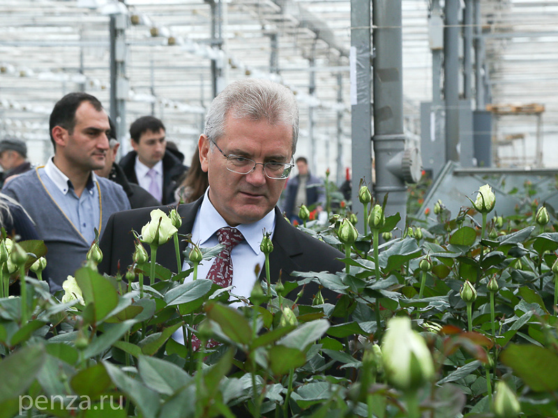 В Мокшане губернатор оценил условия, в которых выращивают розы и герберы