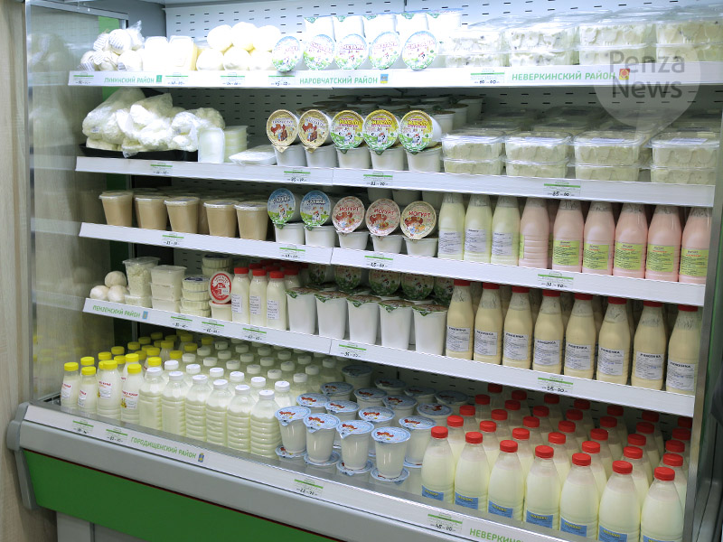 Производство молока в Пензенской области выросло в январе-июле на 10,8%