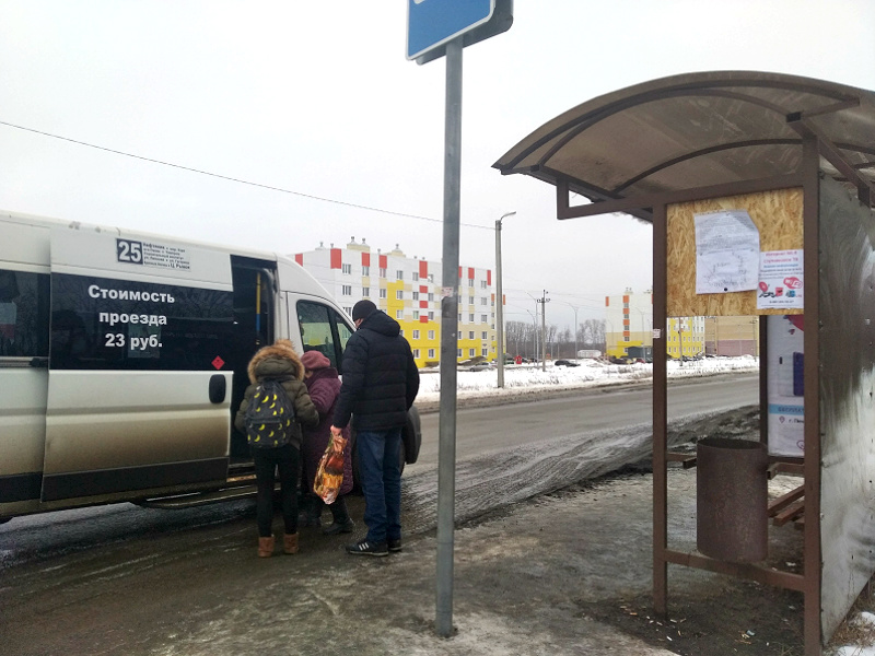 Активисты ОНФ призвали обеспечить безопасность на дороге, ведущей в Зарю