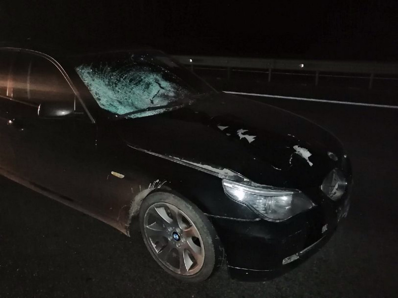 В Пензе автомобиль «BMW» насмерть сбил молодую женщину