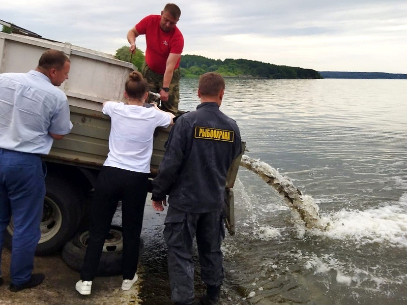 Саранск Сурское водохранилище