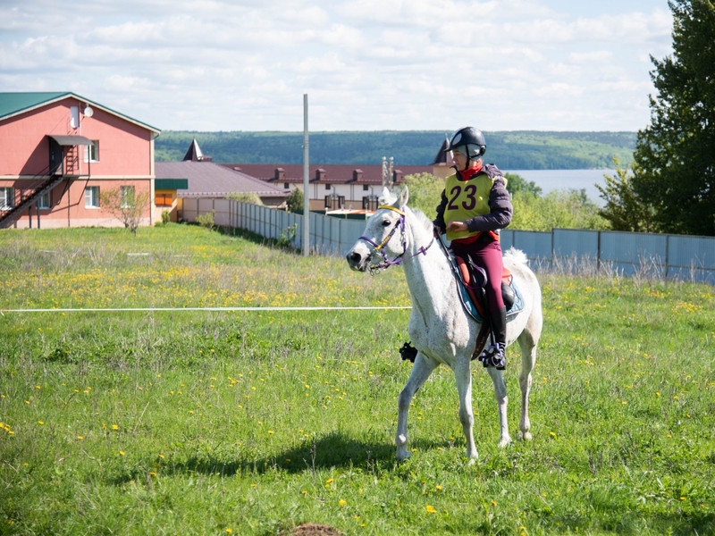 В Пензенской области впервые состоялись официальные соревнования по конным дистанционным пробегам