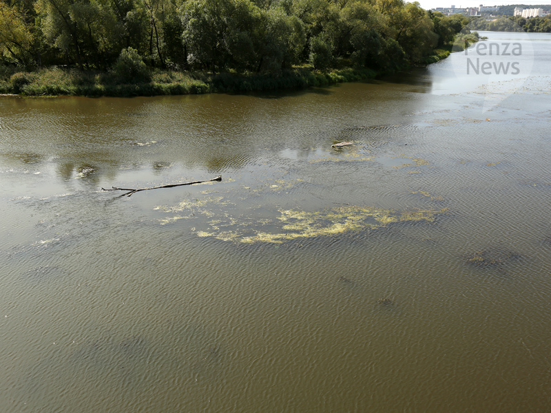 Сотрудники двух компаний оштрафованы за нарушения при сбросе стоков в реку Маис