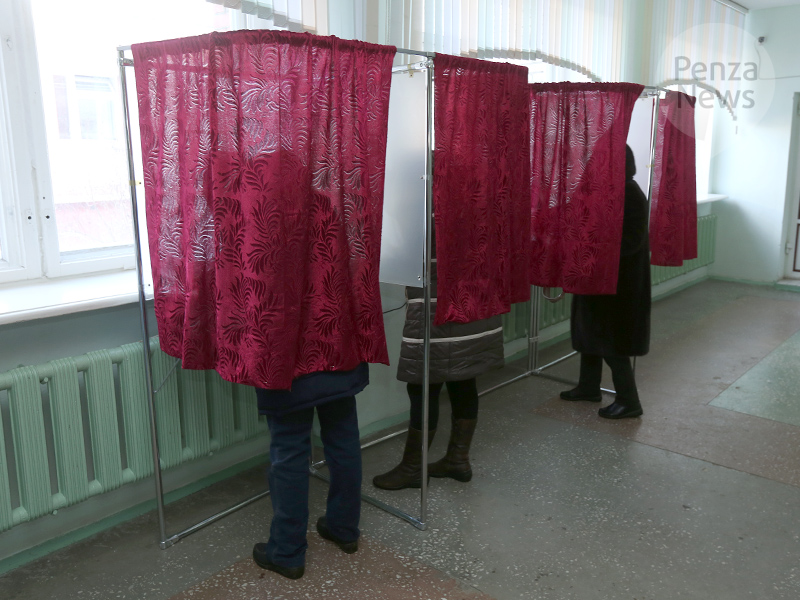 В Пензенской области проголосовали более 56% избирателей