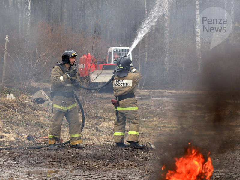 В Пензенской области за выходные дни произошло два лесных пожара