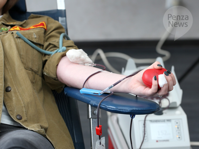 В Пензе около 40 бойцов студотрядов приняли участие в акции «Сдавая кровь, твори добро»