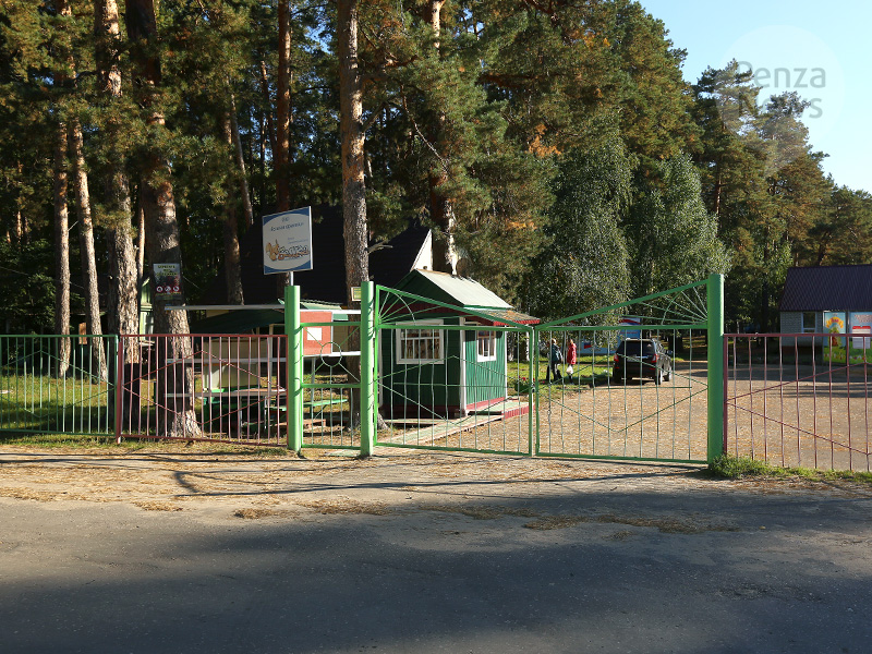 В Пензенской области двоих детей не допустили в загородные лагеря из-за температуры