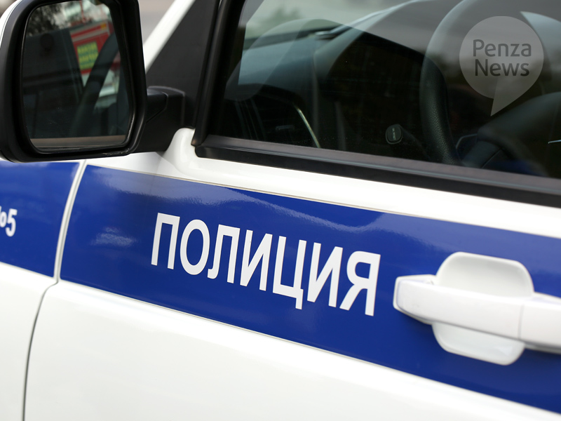 В Пензенской области завели дело на водителя, севшего за руль пьяным