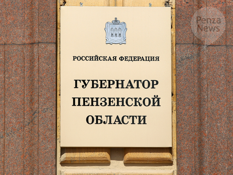 На выборы губернатора Пензенской области в бюджете заложили около 91 млн. рублей