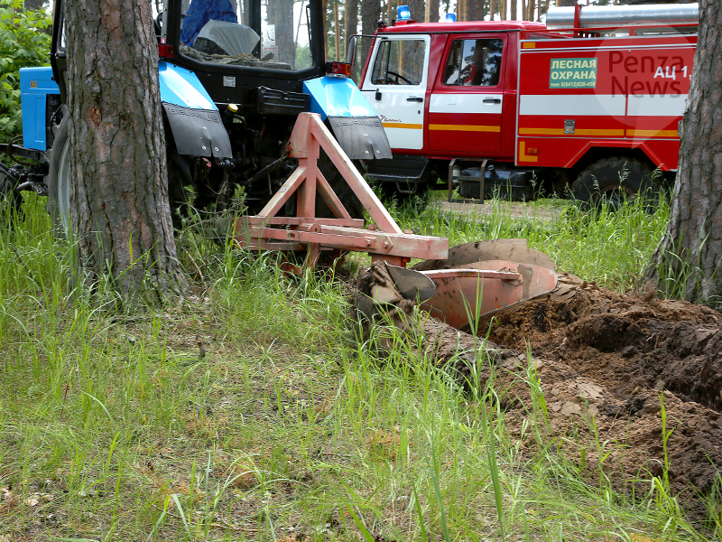 В Пензенской области за сутки ликвидировано три лесных пожара