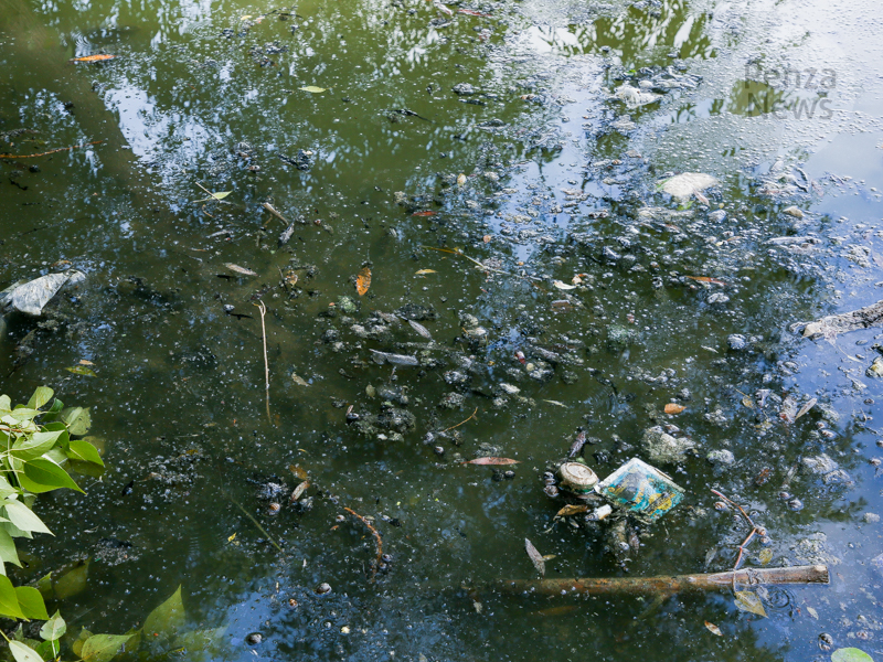 По факту загрязнения реки в центре Пензы возбуждено уголовное дело