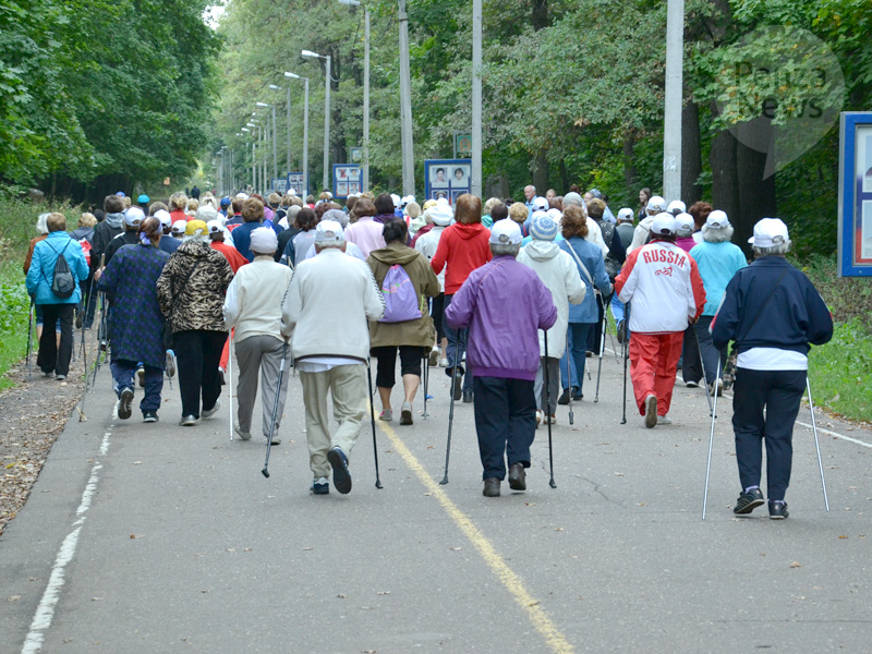 В Каменском районе 28 июня пройдет фестиваль «Активное долголетие»