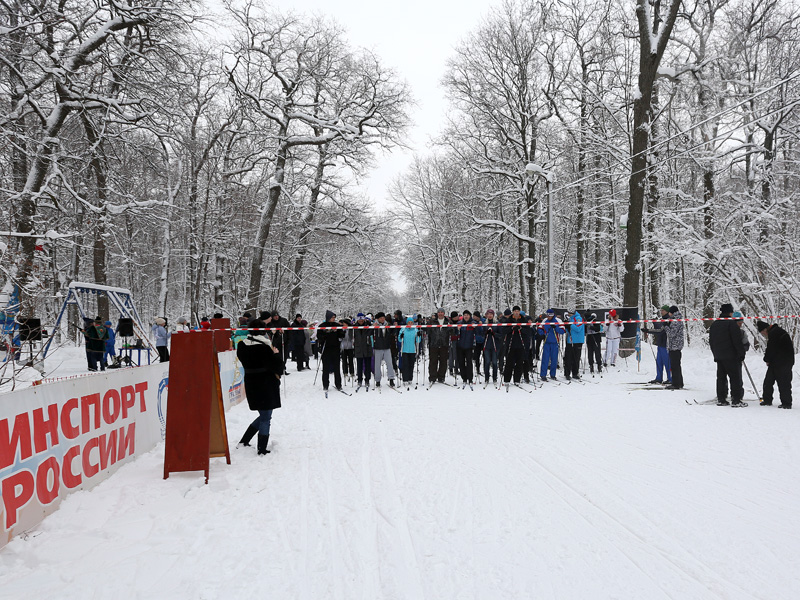 «Лыжня России» в Пензе пройдет на Олимпийской аллее, а не на «Снежинке»