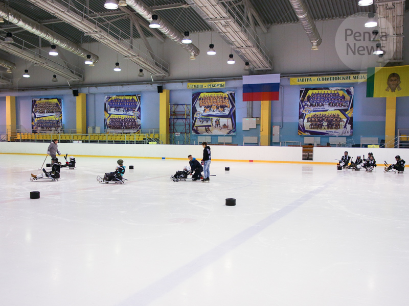 Пензенская команда по следж-хоккею будет заниматься на льду «Дизель-Арены» бесплатно